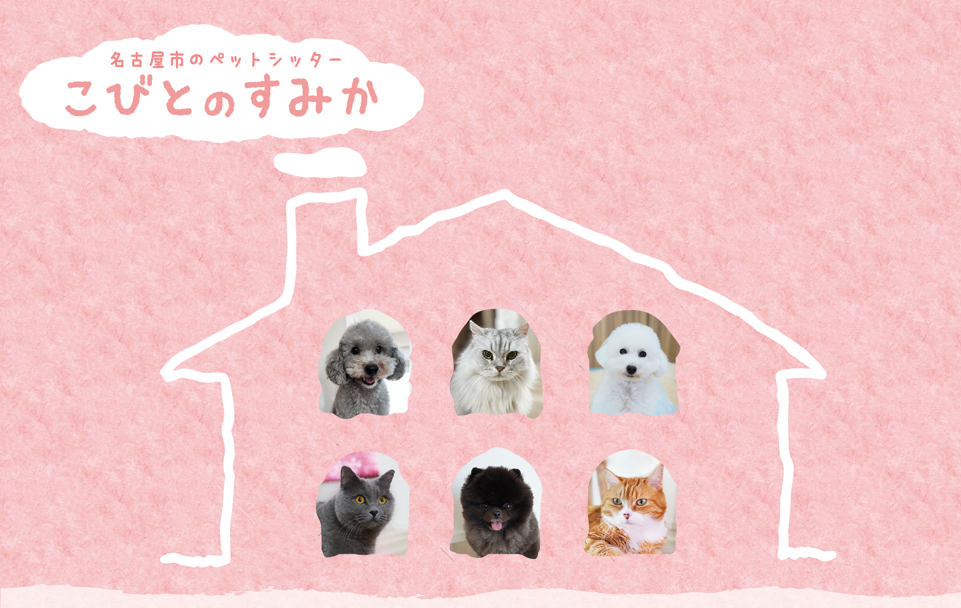 名古屋市　ペットシッター　こびとのすみか